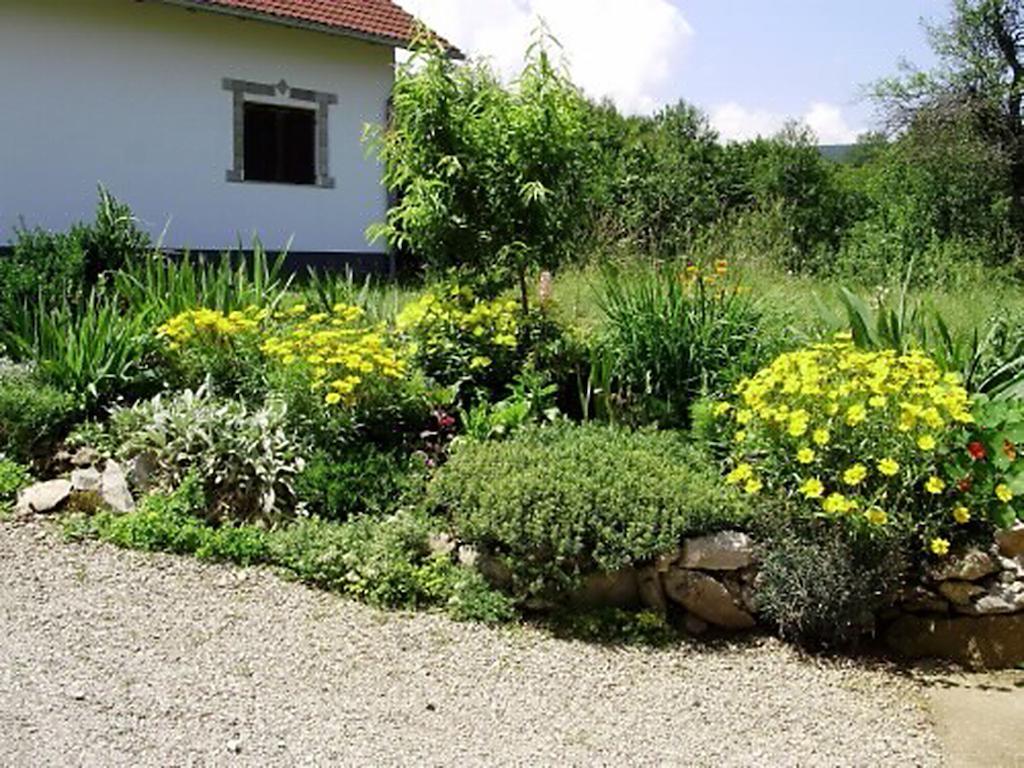 Отель House Vranic Раковица Номер фото